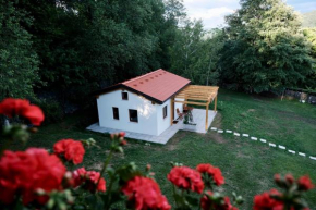 Timijan Holiday Home